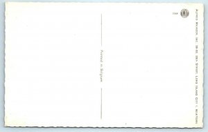 Mainzer DRESSED MICE Anthropomorphic WOODWORKING SHOP #4901 Belgium Postcard