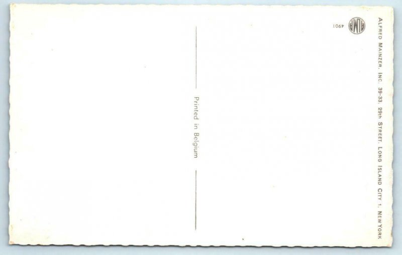 Mainzer DRESSED MICE Anthropomorphic WOODWORKING SHOP #4901 Belgium Postcard