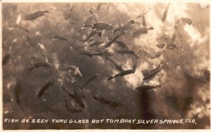 Postcard 1938 Real Photo Fish Seen Thru Glass Bottom Boat Silver Springs FL RPPC