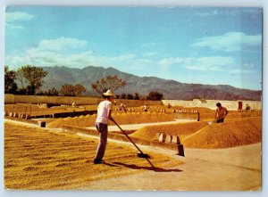 Costa Rica Postcard View of Asoleando Cafe Farming Work 1974 Vintage Posted