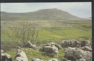 Yorkshire Postcard - View of Ingleborough  RS7521