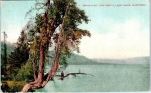 LAKE TAHOE, CA California   Shore Line View at McKINNEY'S   1914   Postcard