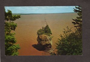 NB Flower Pot Hopewell Rocks Cape New Brunswick Canada Postcard Carte Postale