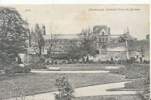 Cambridgeshire Postcard - Peterborough Cathedral from The Gardens - Ref TZ10700