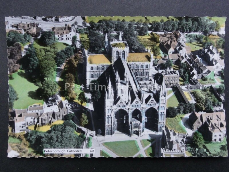 Cambridgeshire Aerial View PETERBOROUGH CATHEDRAL - Old RP Postcard