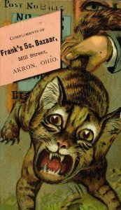 1870's-80's Oddball Man Holding Cat By Tail Frank's 5¢ Bazaar Trade Card F79