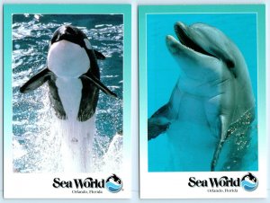 2 Postcards SEA WORLD, Orlando FL ~ Shamu KILLER WHALE & DOLPHIN 4x6