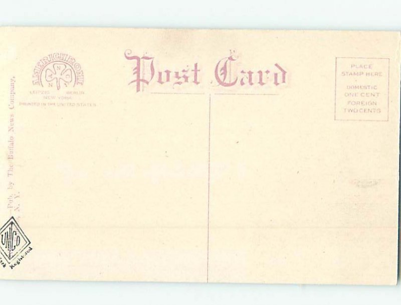 Unused Divided-Back HOSPITAL SCENE Buffalo New York NY W2928