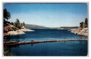 Fishing Scene Big Bear Lake California CA UNP Chrome Postcard R29