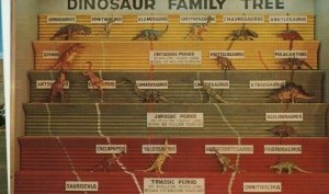 Postcard Dinosaur Family Tree, Dinosaur National Monument, UT.      S1