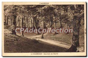 Old Postcard La Bourboule Sous Bois From Charlet