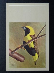 Bird Theme NAPOLEON WEAVER c1950s Postcard by P. Sluis Series 3 No.27