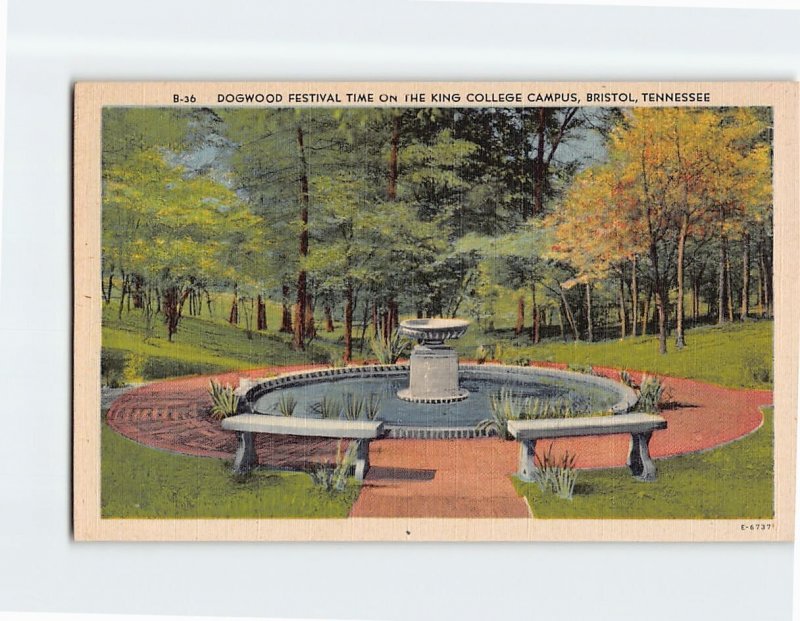 B-196977 Dogwood Festival Time On The King College Campus Bristol Tennessee USA