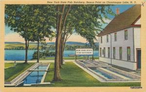 1948 State Fish Hatchery Chautauqua Lake New York Teich postcard 12393