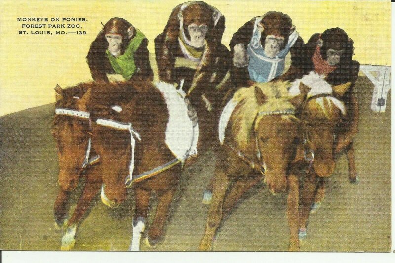 St. Louis, Mo., Forest Park Zoo, Monkeys on Ponies