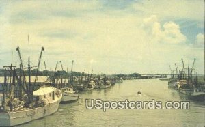 Shrimp Fleet, Mt Pleasant Docks - Charleston, South Carolina SC  