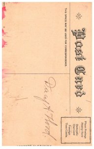 Dog  ,and Kittens , Best regards