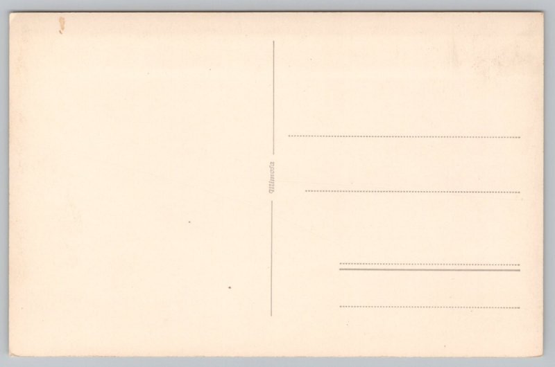 Postcard Laboe Germany Beach Strandparty Path 1910s RPPC View