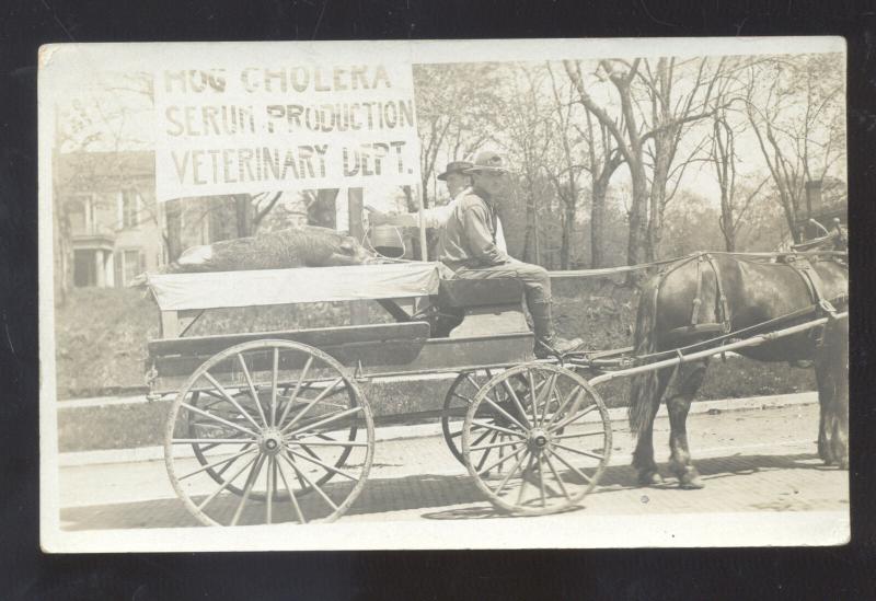 RPPC UNIVERSITY OF MISSOURI COLUMBIA MO. VETERINARY ADVERTISING PHOTO POSTCARD