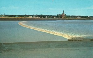 Vintage Postcard The Tidal Bore Moncton N.B. Canada Petitcodiac River Bay of Fun