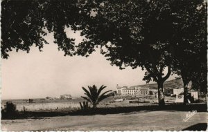 CPA BANYULS-sur-MER Ses ombrages, plamiers (144418)