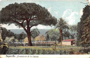 Alrededroes de la Laguna Tenerife Spain Postal Used Unknown 