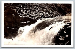 RPPC  Salmon Run  Hood River  Mt. Hood  Oregon  Real Photo Postcard  c1950