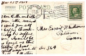 Thanksgiving  ,  Turkey