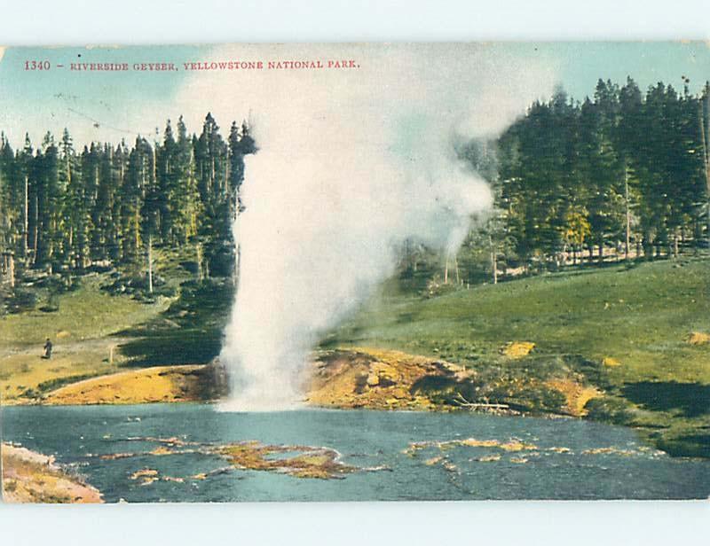 Divided-Back RIVERSIDE GEYSER Yellowstone National Park Wyoming WY H3628