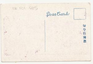 BR101085 sagi pond nara deer   japan