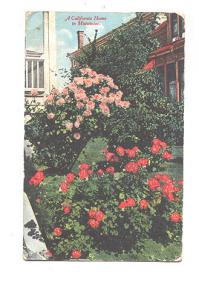 Midwinter Roses, Home in California, Used 1915