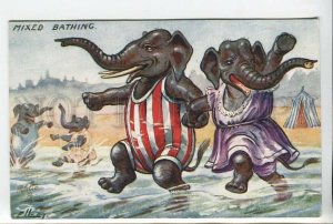 439020 ELLAM Dressed ELEPHANT Beach Vintage Mixed Bathing postcard TUCK #9562