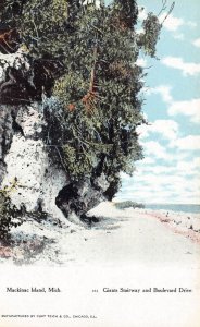 LPD03  Mackinac Island   Michigan Postcard