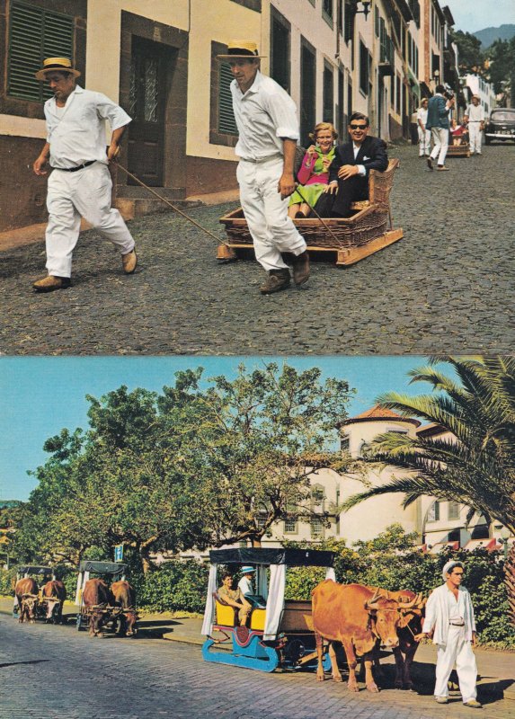 Portugal Baskets Race Down Road Tourist Basket Guided Tours 2x Rare Postcard