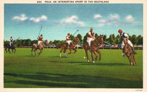 Vintage Postcard Polo an Interesting Sport in the Southland Asheville Post Pub.