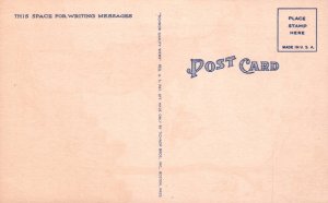 And For The Rich You Sing Bird Man Comic