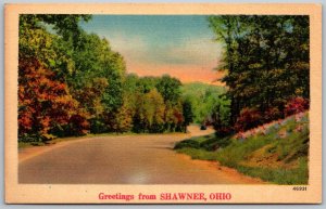 Shawnee Ohio 1930-40s Greetings Postcard Road Trees