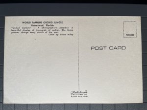 Orchid Jungle, Homestead, Florida