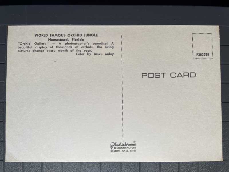 Orchid Jungle, Homestead, Florida