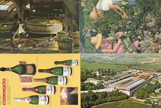 Cavas Codorniu Ladies Making Spain Wine Bottles 4x Spanish Postcard s