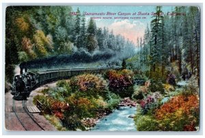 c1910's Sacramento River Canyon Railroad Train At Shasta Springs CA Postcard 