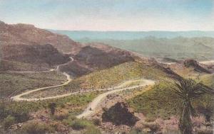 Califorinia Needles Highway Scene Albertype