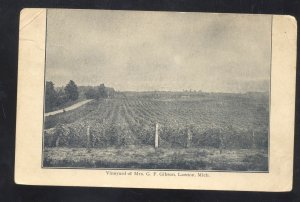 LAWTON MICHIGAN VINEYARD OF MRS. GF GIBSON VINTAGE POSTCARD 1908