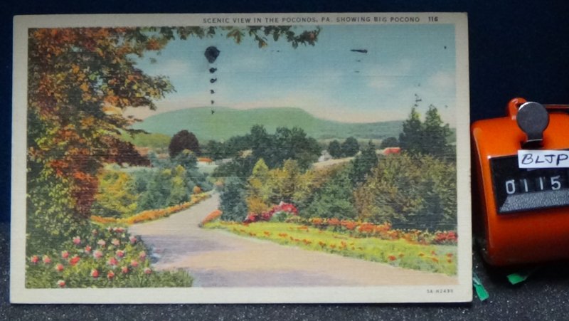 STD Vintage Scenic View in the Poconos Showing Big Pocono Tannersville Pennsylva