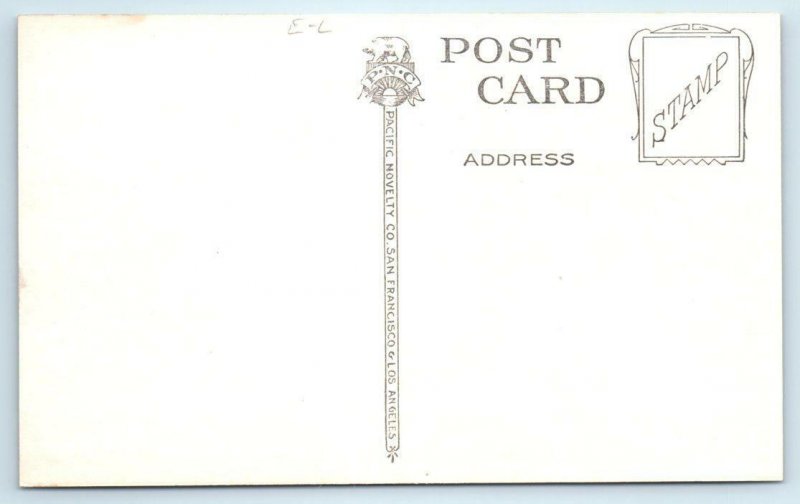 LOS ROBLES, CA ~ Million Freesias Santa Cruz County c1910-20s  Postcard