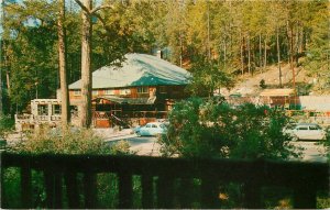 Postcard Arizona Summerhaven Mt. Lemmon Lodge autos Petley Studios 23-1157