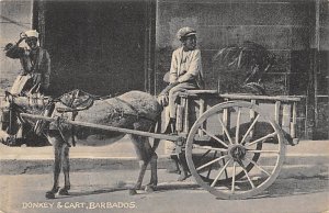 Donkey and Cart Barbados West Indies Unused 