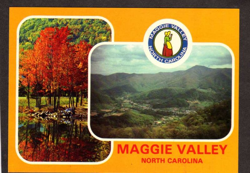 NC Maggie Valley View North Carolina Postcard