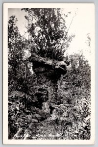 Puna Hawaii Lava Tree RPPC Real Photo Postcard K24