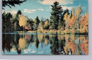 Autumn, Fall Colours, Lake Scene Near Youngs Point, Ontario, Vintage Postcard